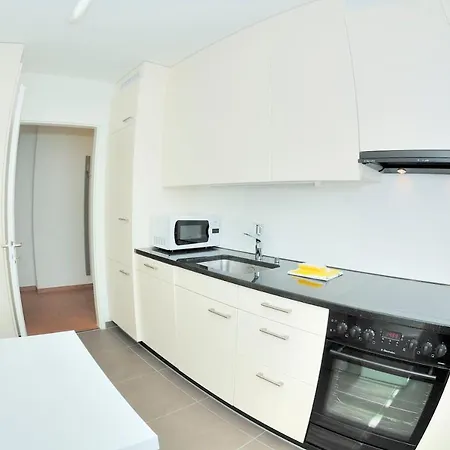 Cozy 1br Near With Balcony - Mill 422 Apartment Zurich